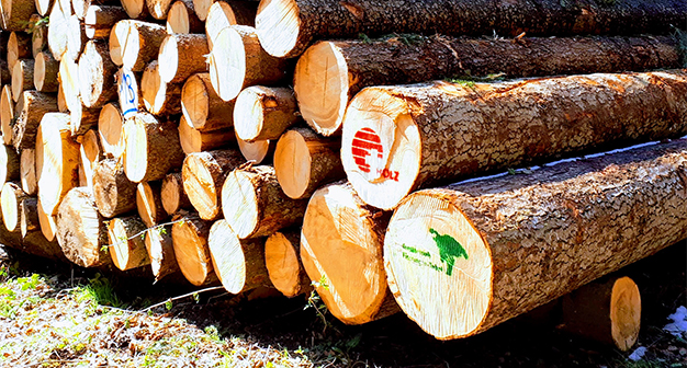 Waldzertifizierungen